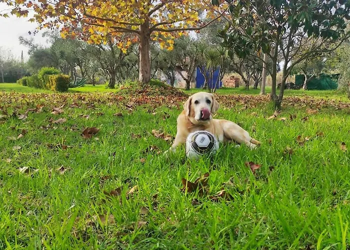 Σπίτι διακοπών Lea's *