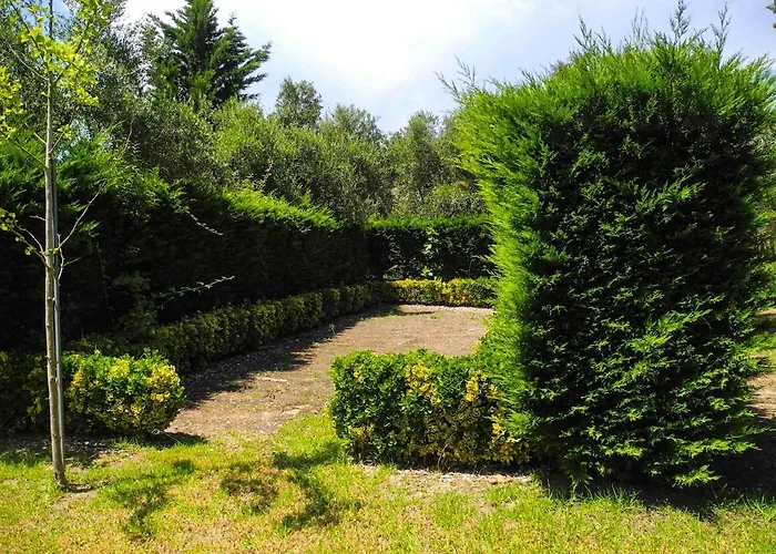 Lea's Κουρούτα