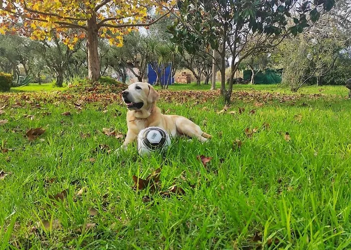 Holiday home Lea's *